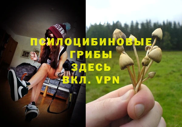 прущие крисы Балахна